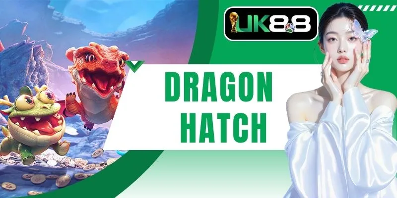 Dragon Hatch Hành Trình Thức Tỉnh Rồng Thần Bùng Nổ Quỹ Hũ