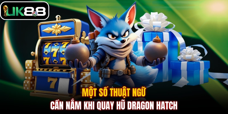 Một số thuật ngữ cần nắm khi quay hũ Dragon Hatch